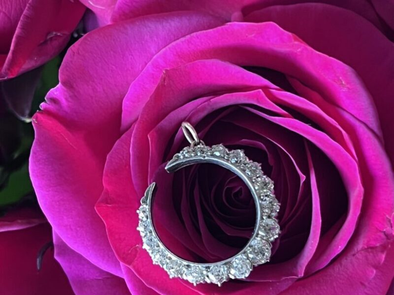 Silver crescent pendant on vibrant pink rose.